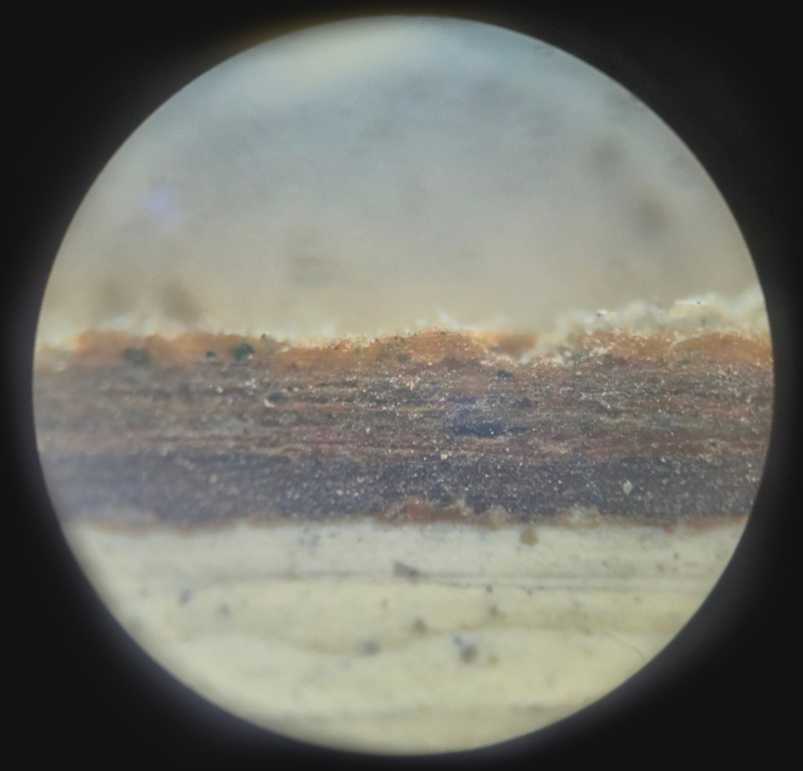 Badania polichromii ściennej – przekrój stratygraficzny pod mikroskopem